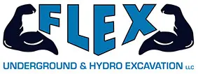 A blue and white logo for flex sound & hydro electronics.